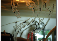 Was haben ein NAS, die Wirtschaftskrise und Case-Modding gemeinsam?