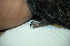 Ideal um sich festzuhalten